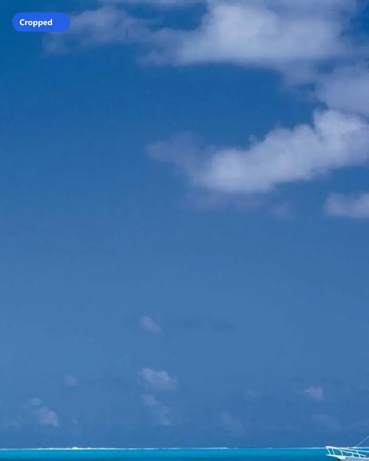 Cropped subject region