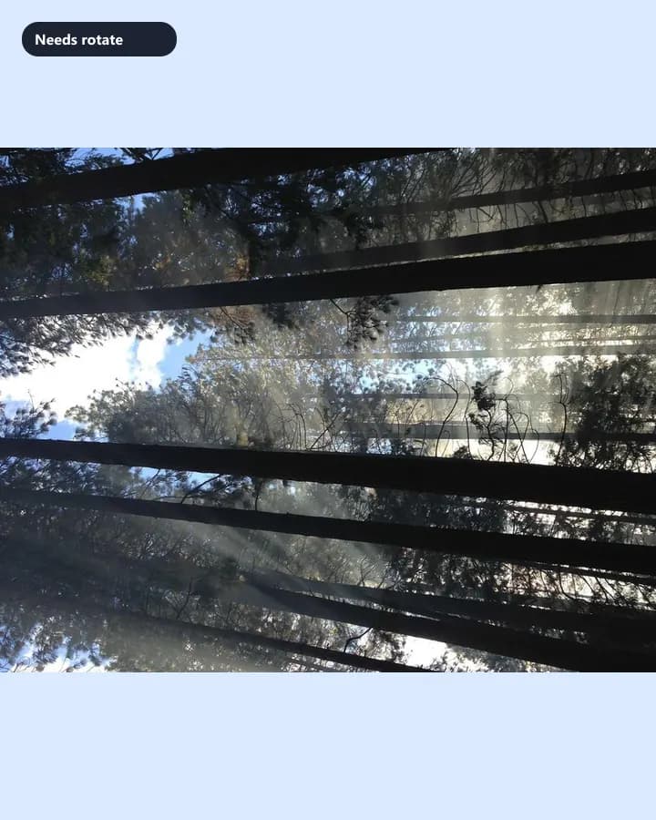 Sideways example for Rotate Image