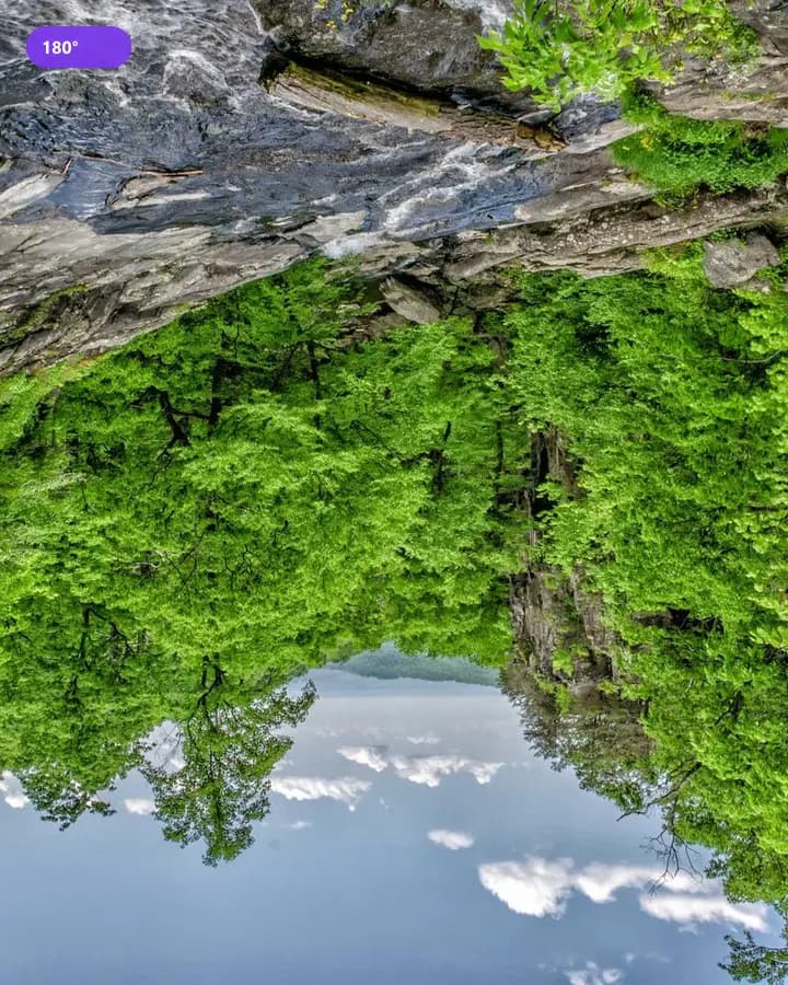 180° example for Rotate Image