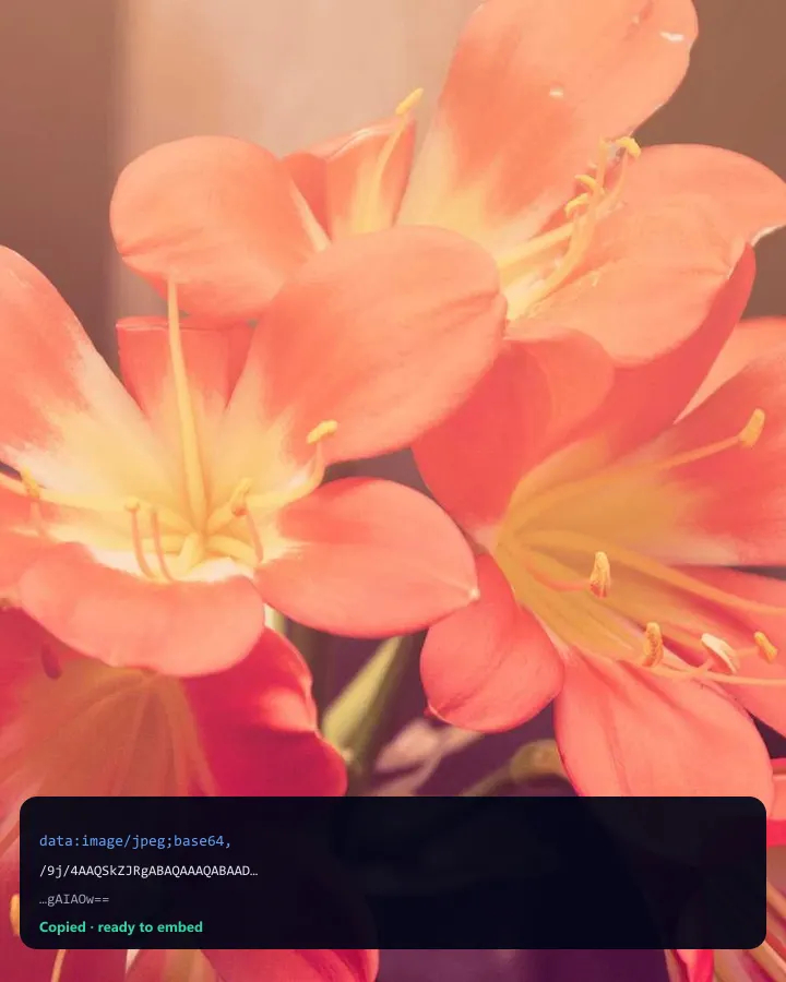 Image encoded as a Base64 data URL preview