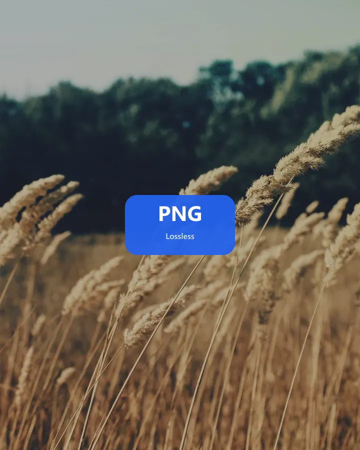 PNG example for Image Converter