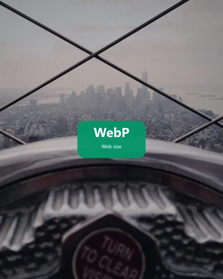 WebP example for Image Converter