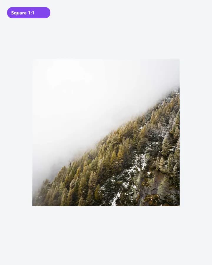 New size example for Image Dimension Converter